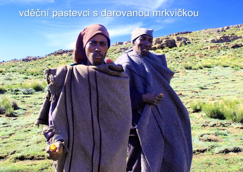 img00029.jpg