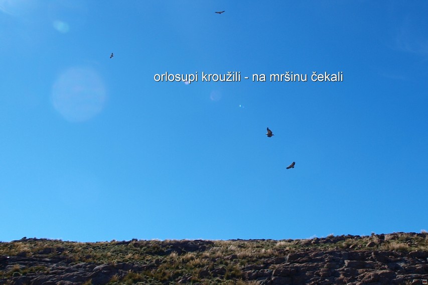 img00030.jpg