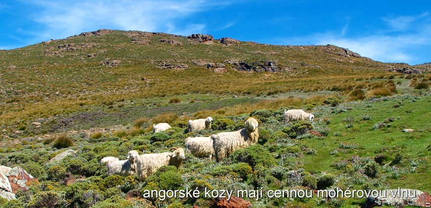 img00040.jpg