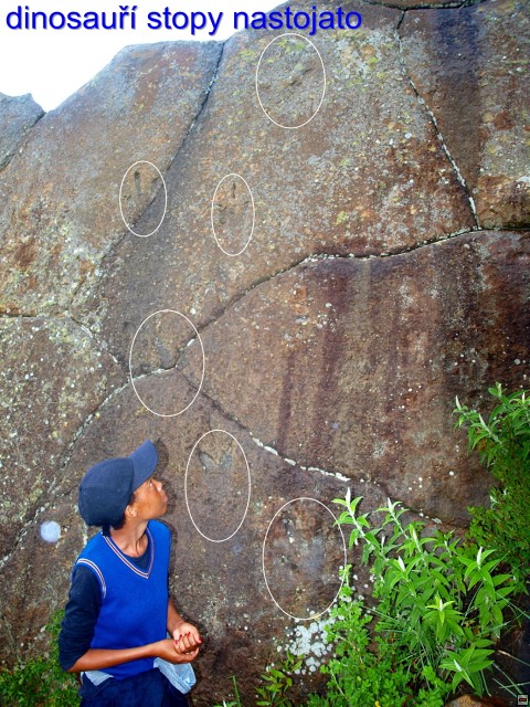 img00044.jpg