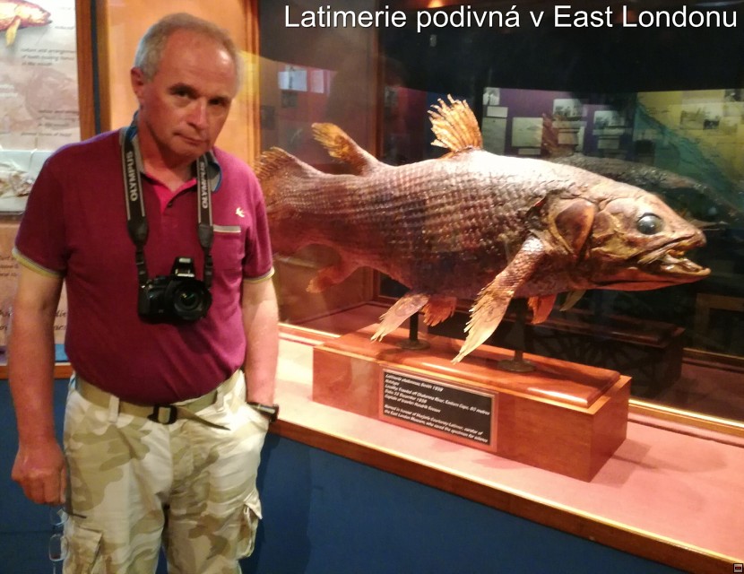 img00046.jpg