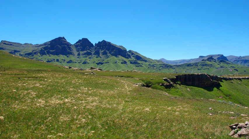 img00051.jpg