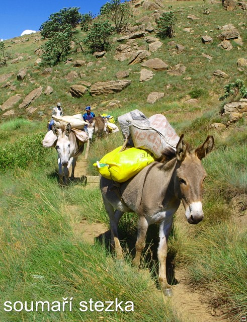 img00053.jpg