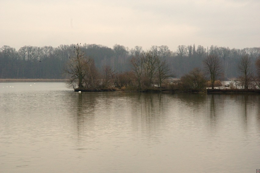 img00008.jpg