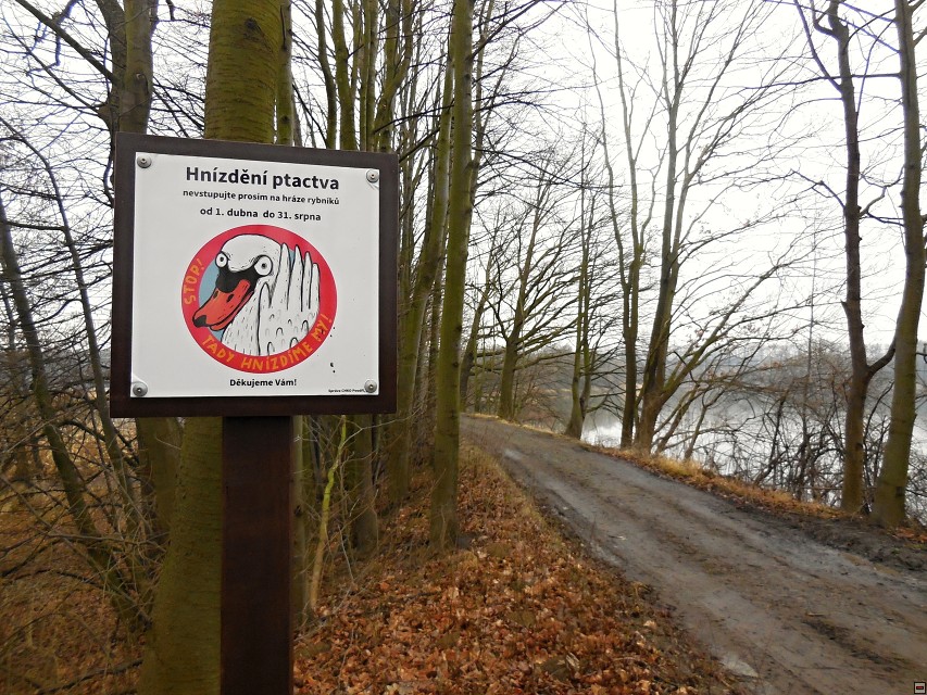 img00014.jpg
