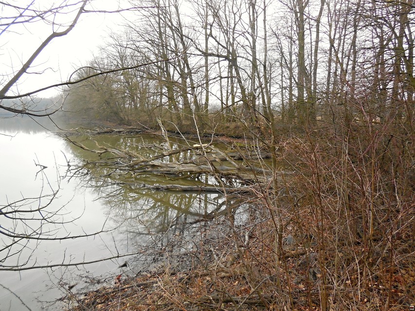 img00015.jpg