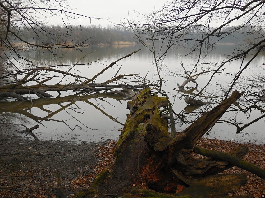 img00016.jpg