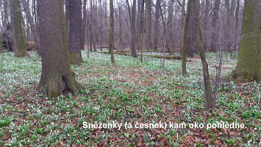 img00018.jpg
