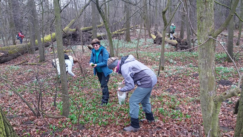 img00020.jpg
