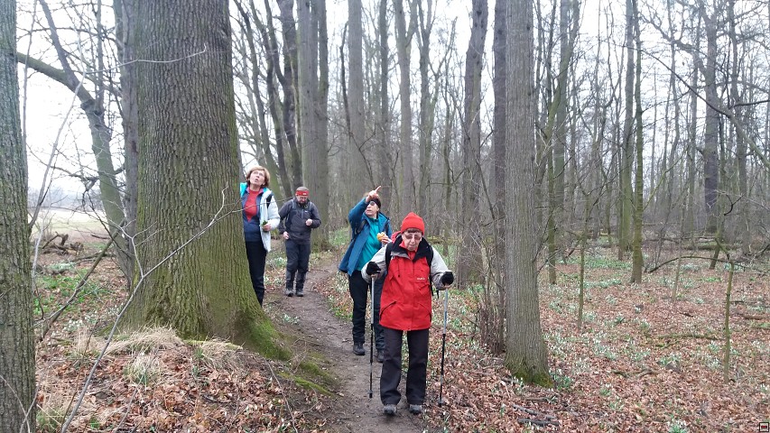 img00026.jpg