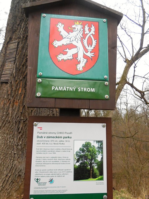 img00034.jpg