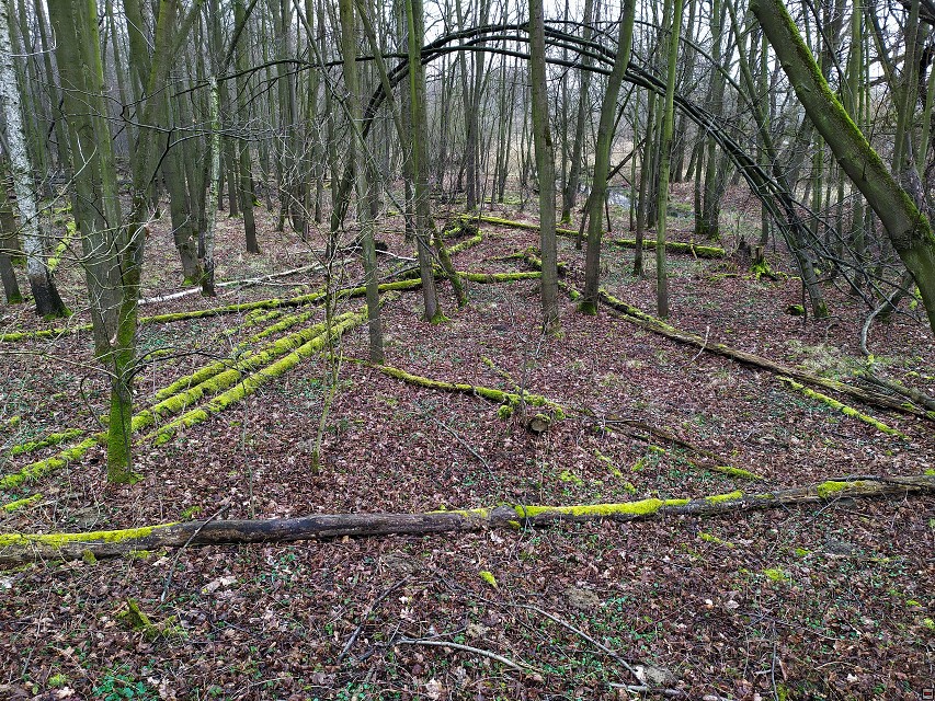 img00038.jpg
