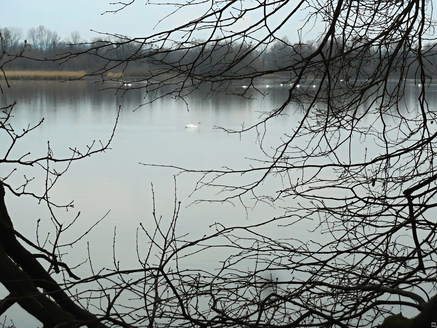img00040.jpg