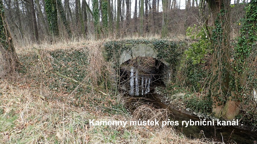 img00045.jpg