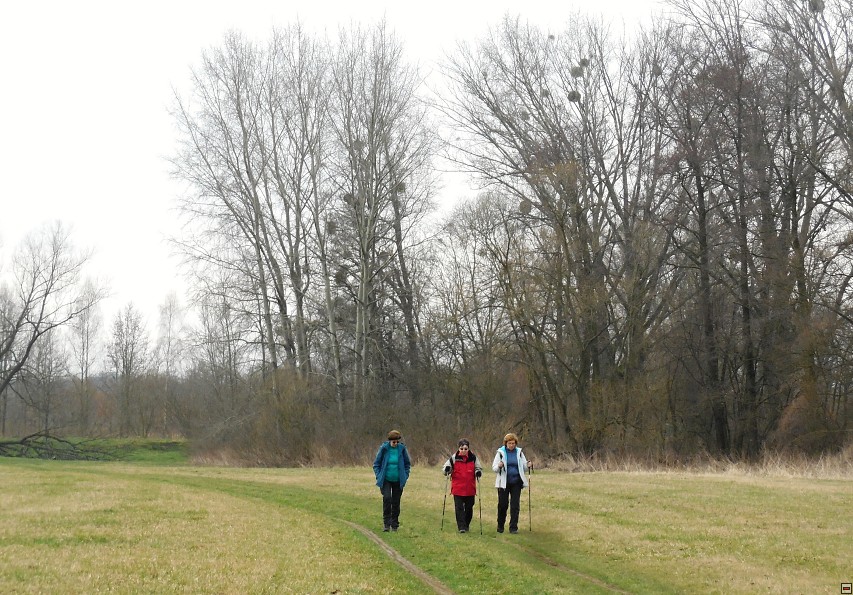 img00050.jpg