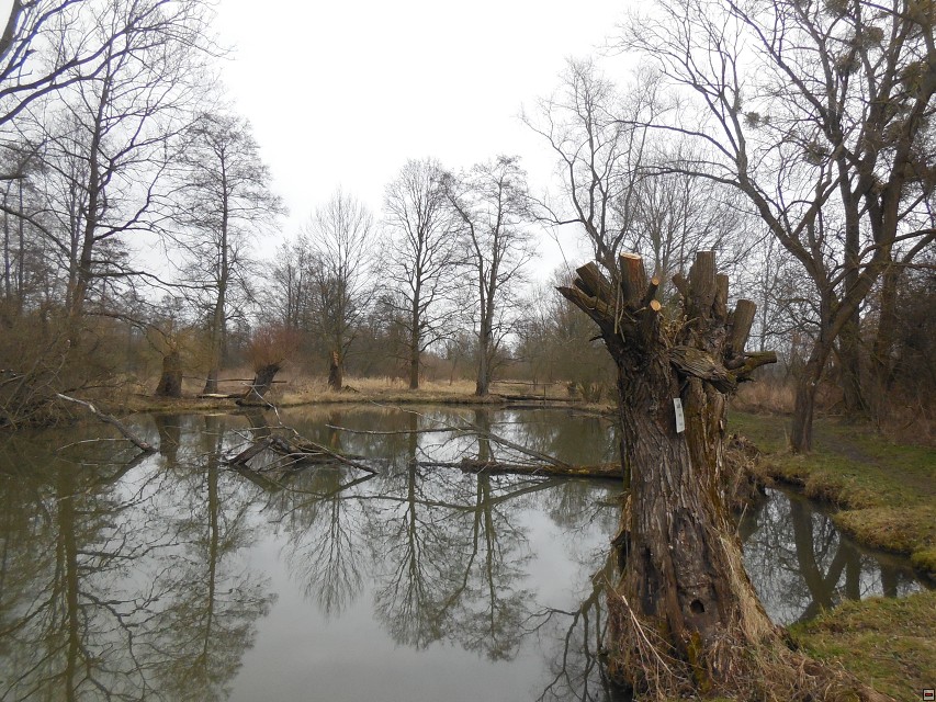 img00053.jpg