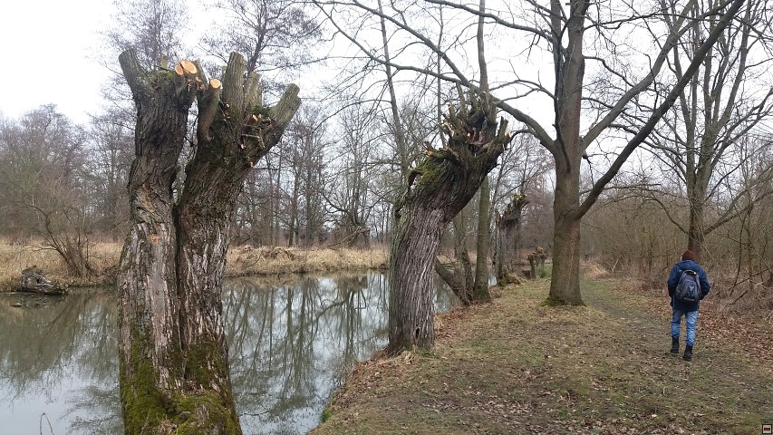 img00055.jpg