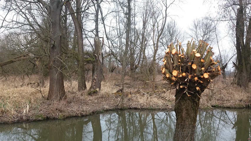 img00056.jpg
