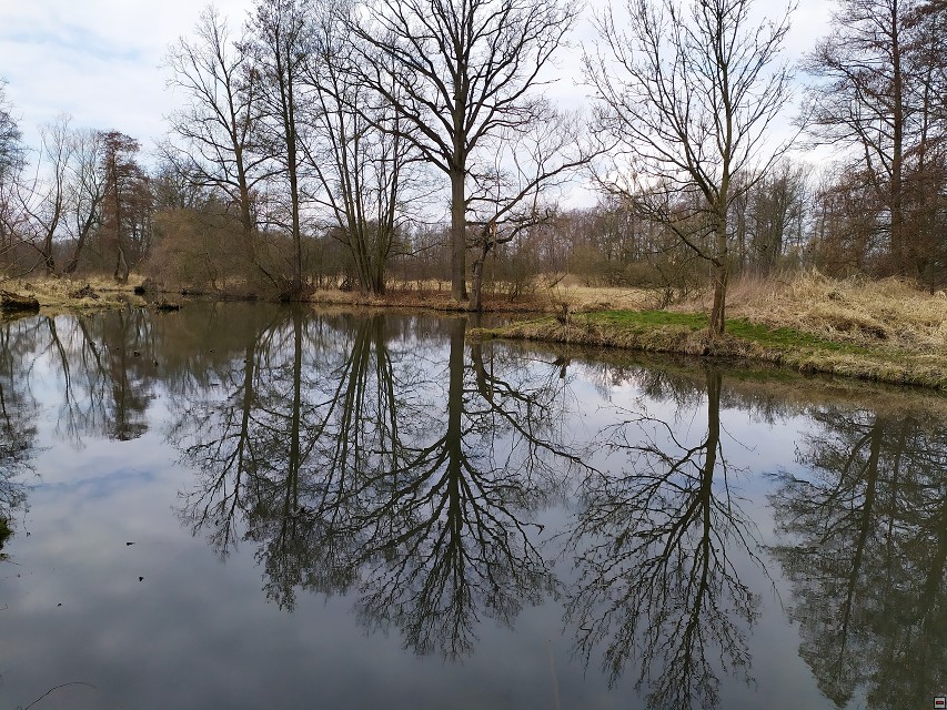 img00057.jpg