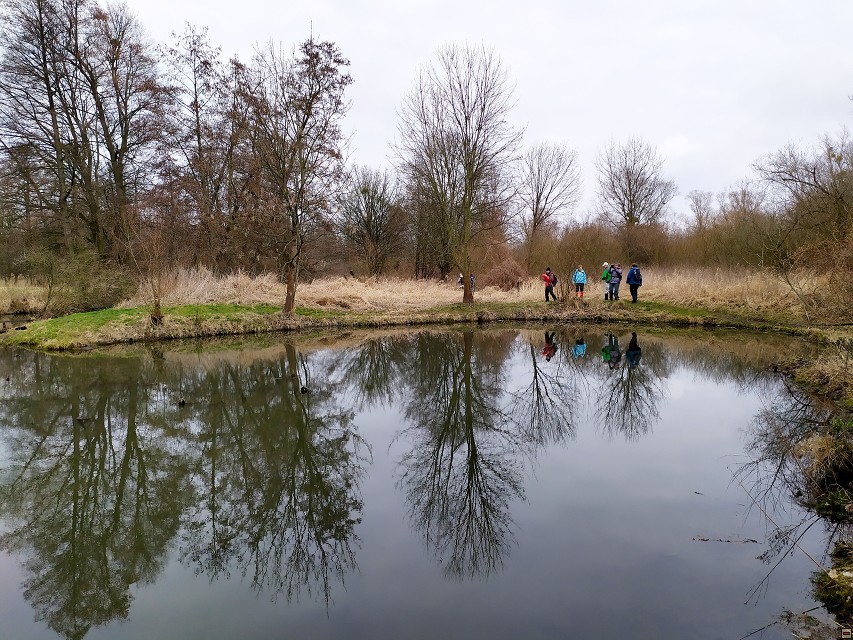 img00060.jpg