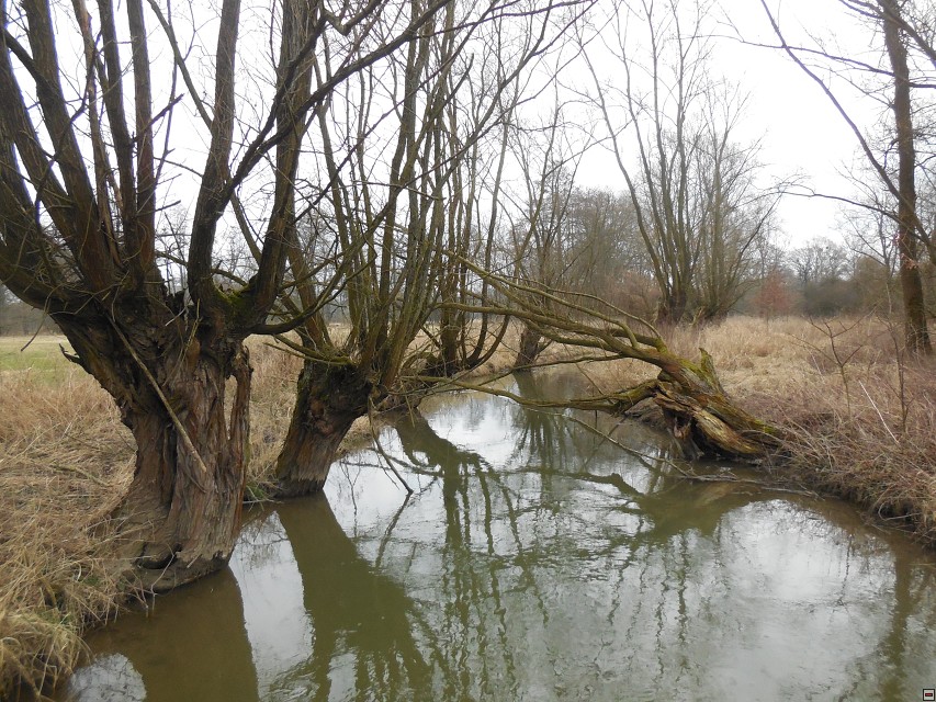 img00061.jpg