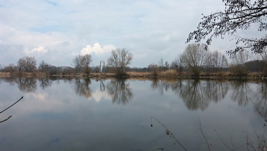 img00064.jpg