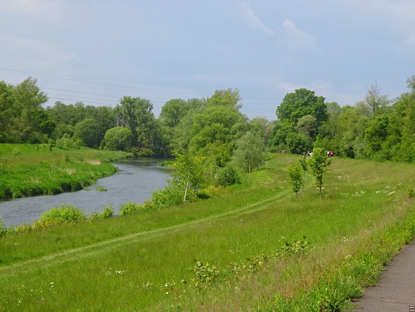 img00011.jpg