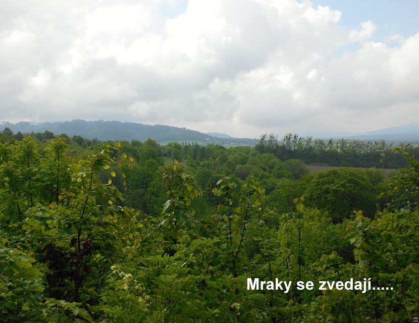 img00004.jpg