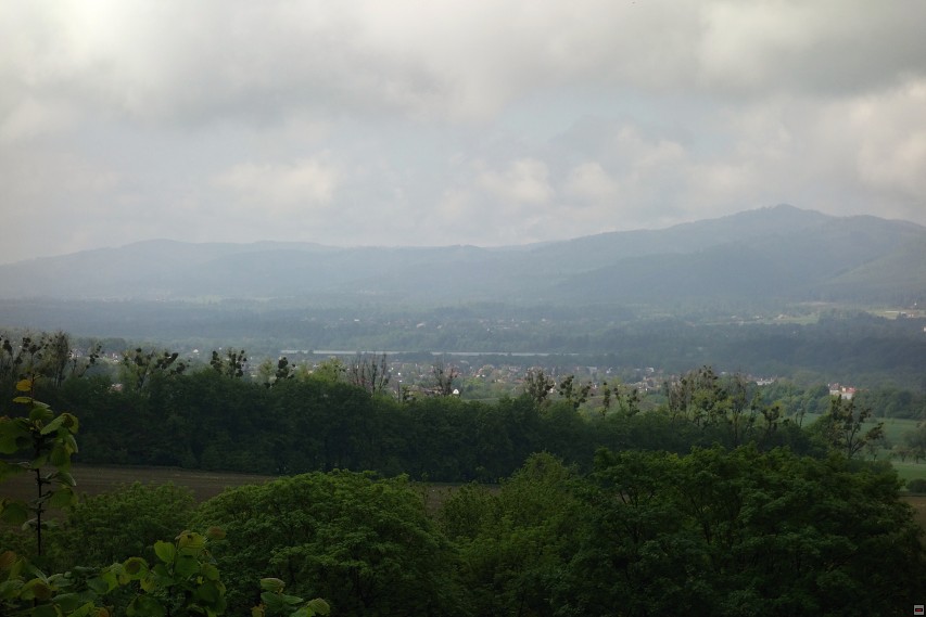 img00006.jpg