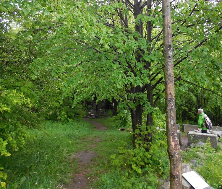img00013.jpg