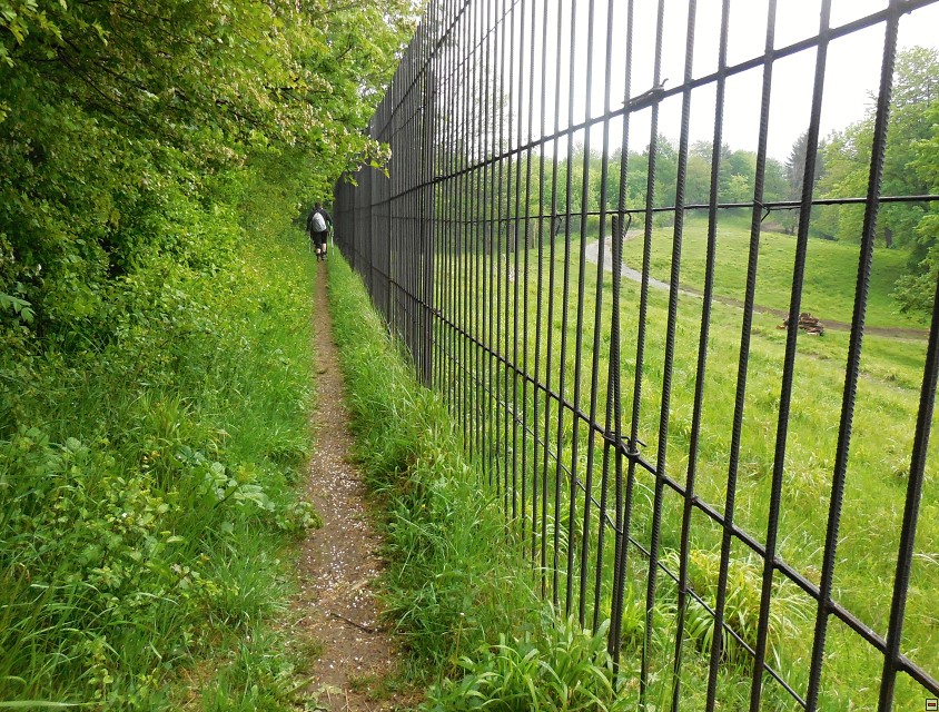 img00016.jpg