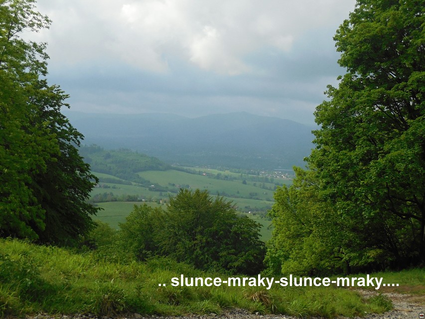 img00018.jpg