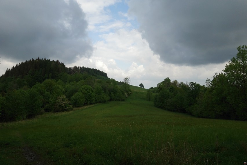 img00019.jpg