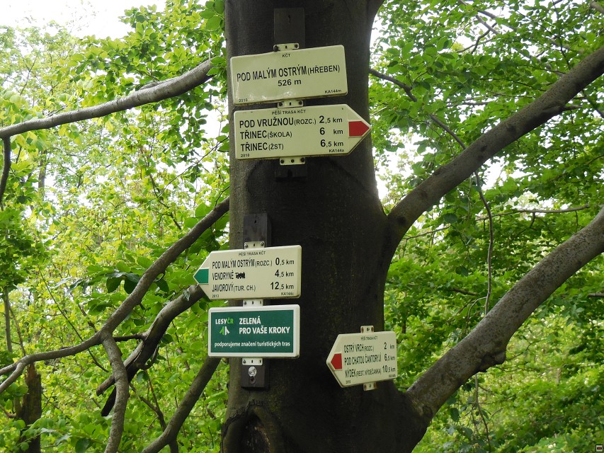 img00022.jpg