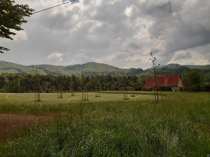 img00027.jpg