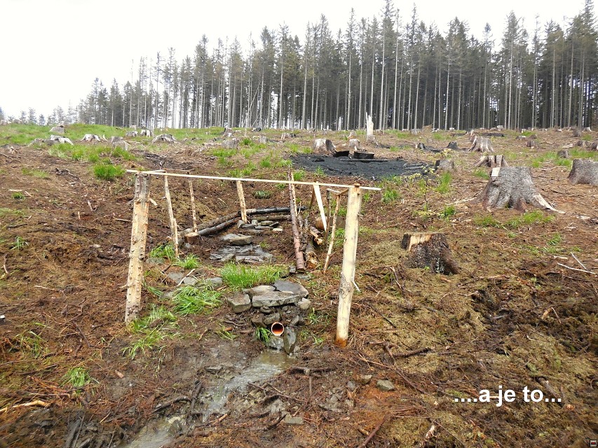 img00013.jpg