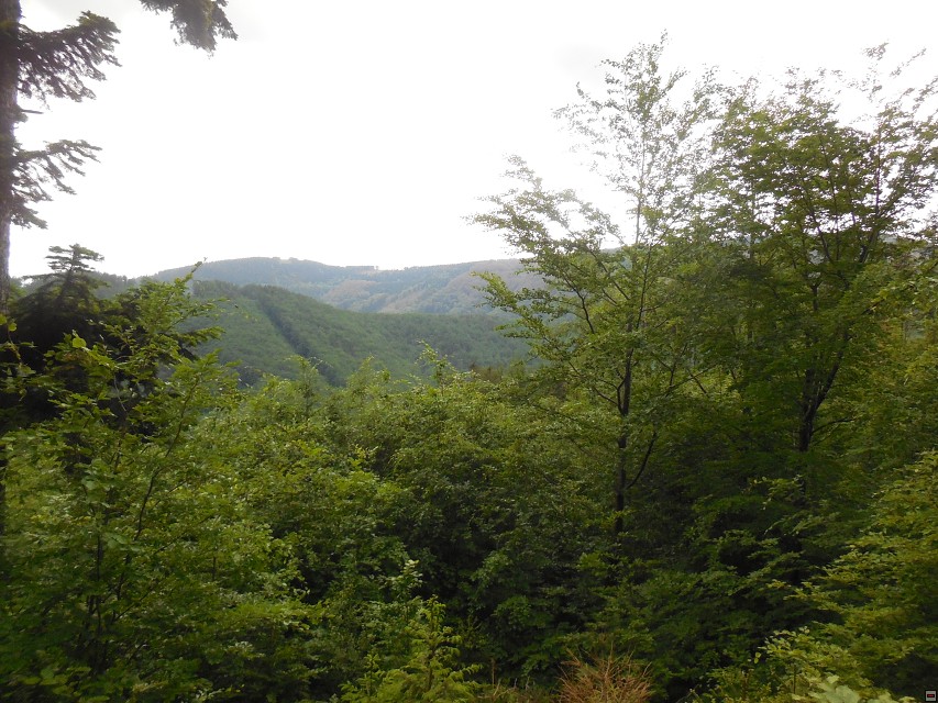 img00005.jpg