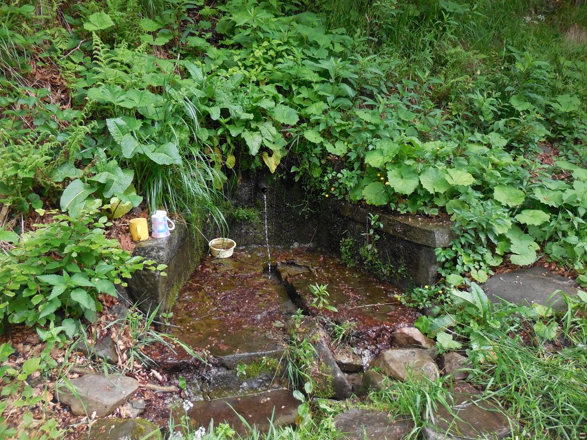 img00010.jpg