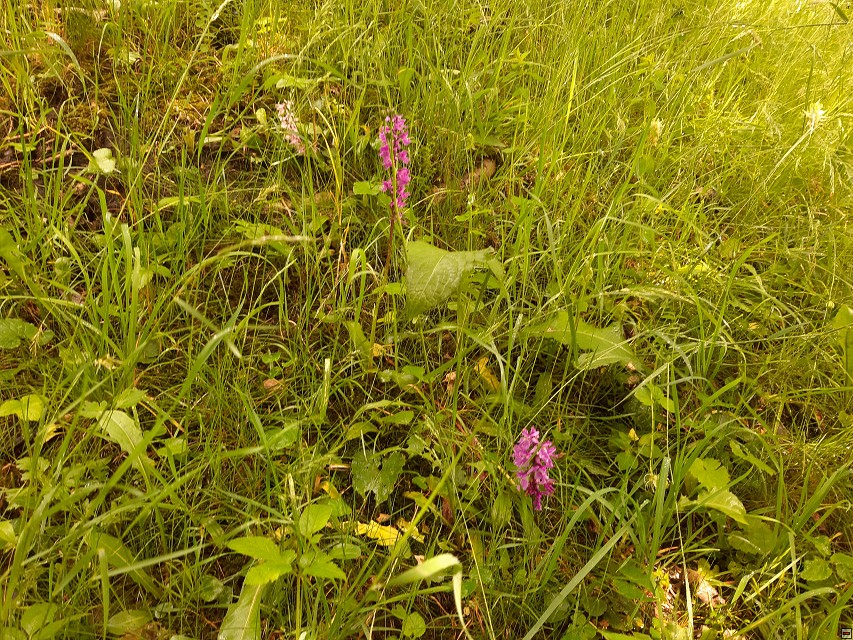 img00023.jpg