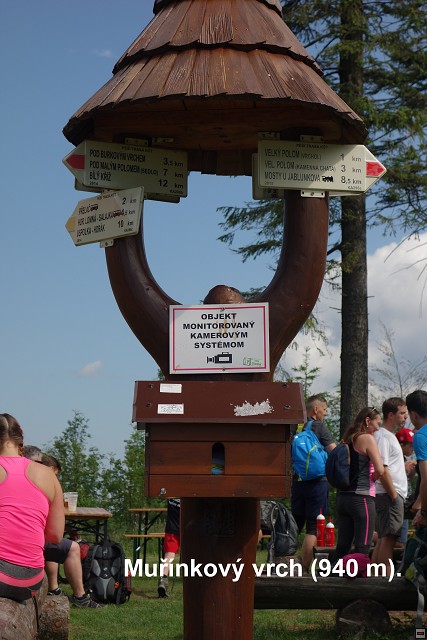 img00005.jpg