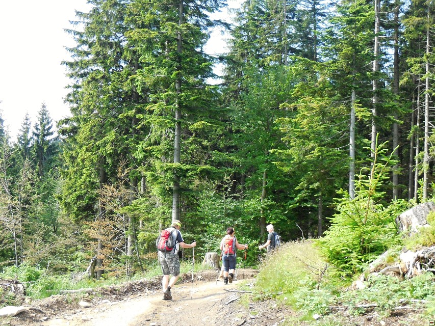 img00010.jpg