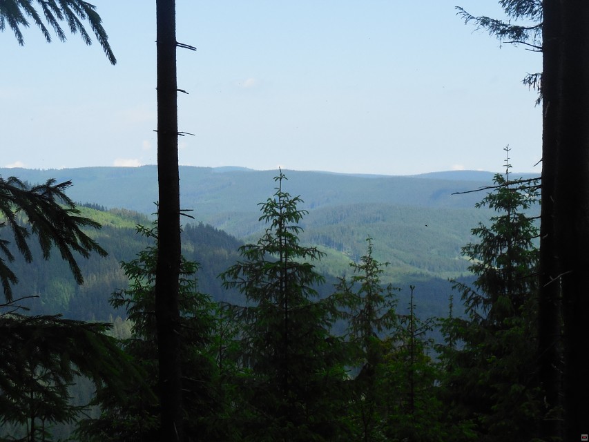 img00012.jpg