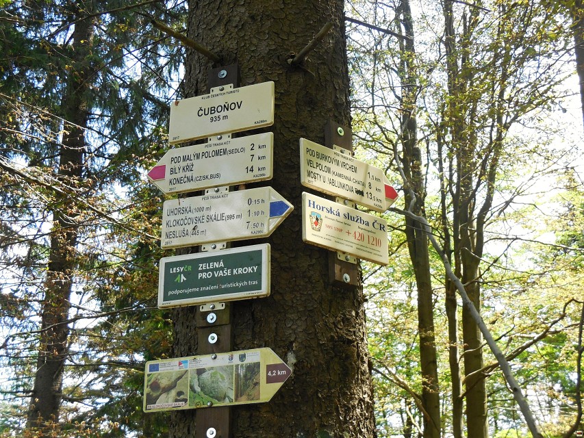 img00016.jpg