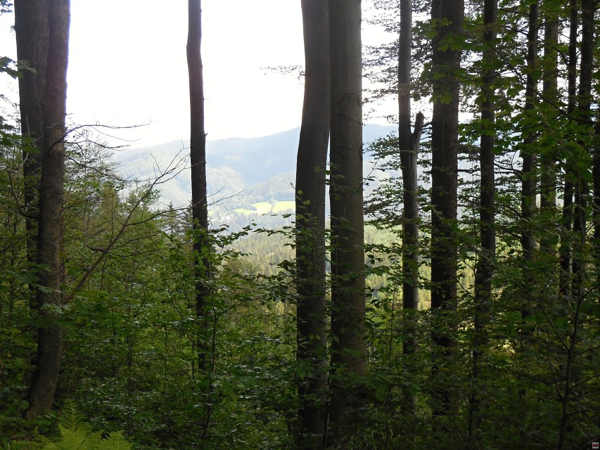 img00017.jpg