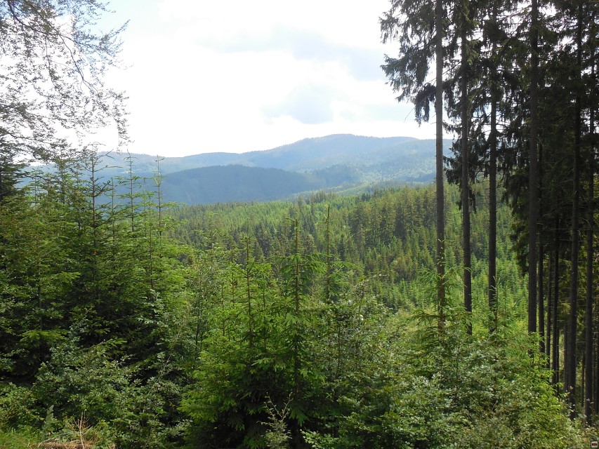 img00019.jpg