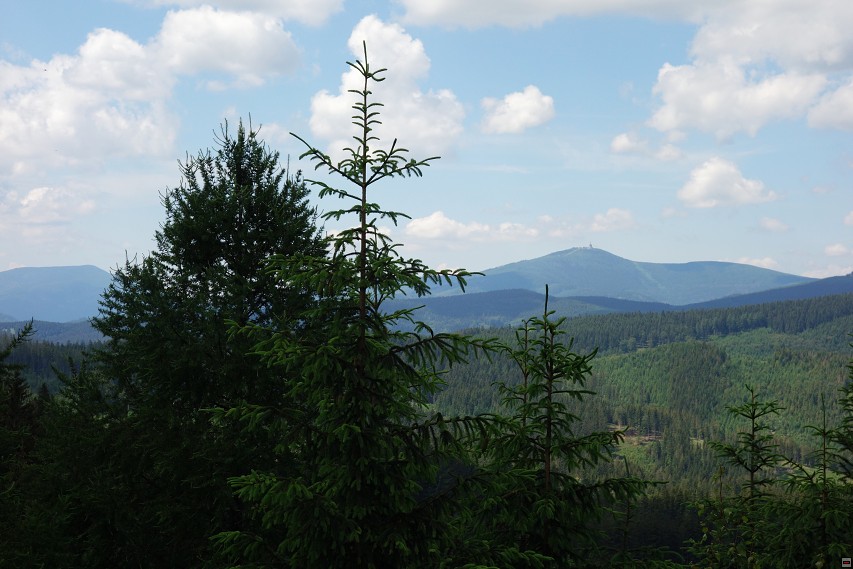 img00022.jpg