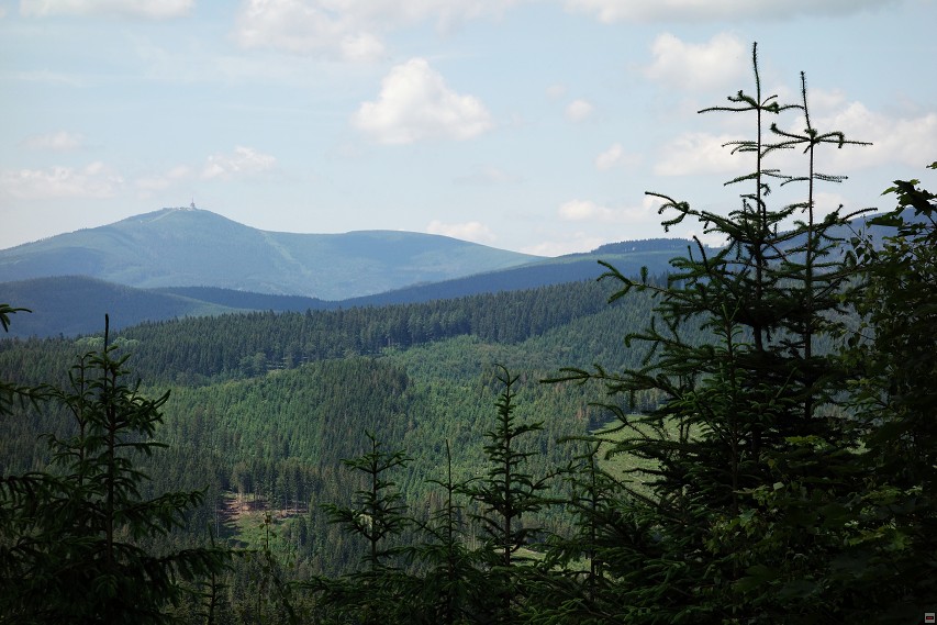 img00024.jpg