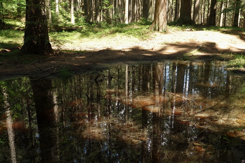 img00027.jpg