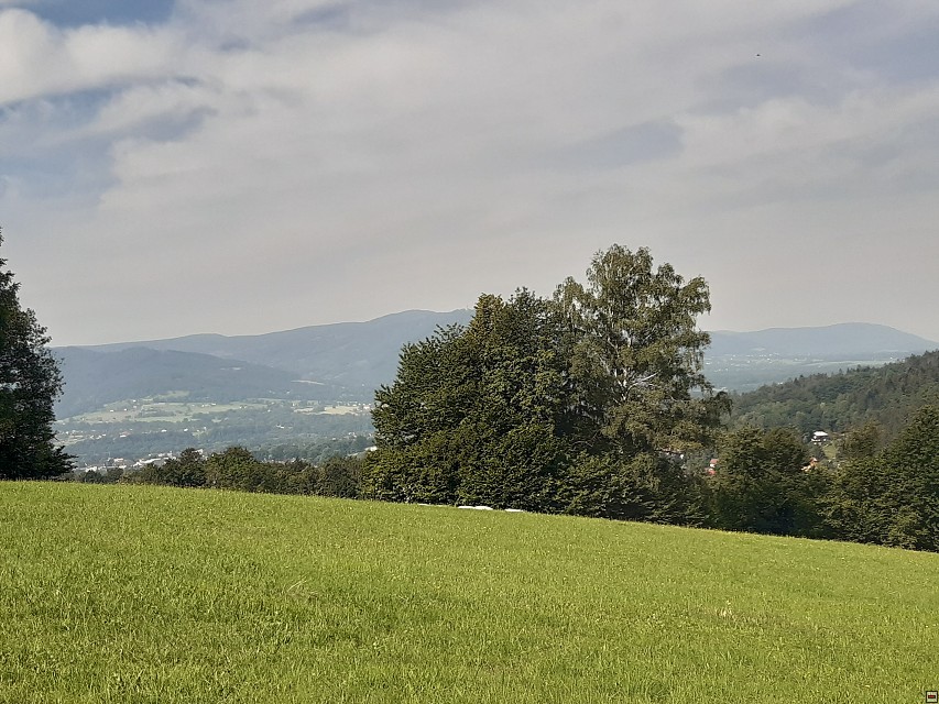 img00004.jpg