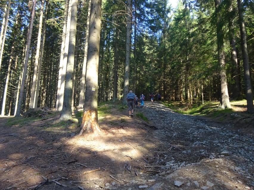 img00002.jpg